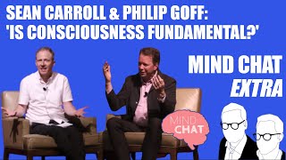 Sean Carroll & Philip Goff Debate 'Is Consciousness Fundamental?'