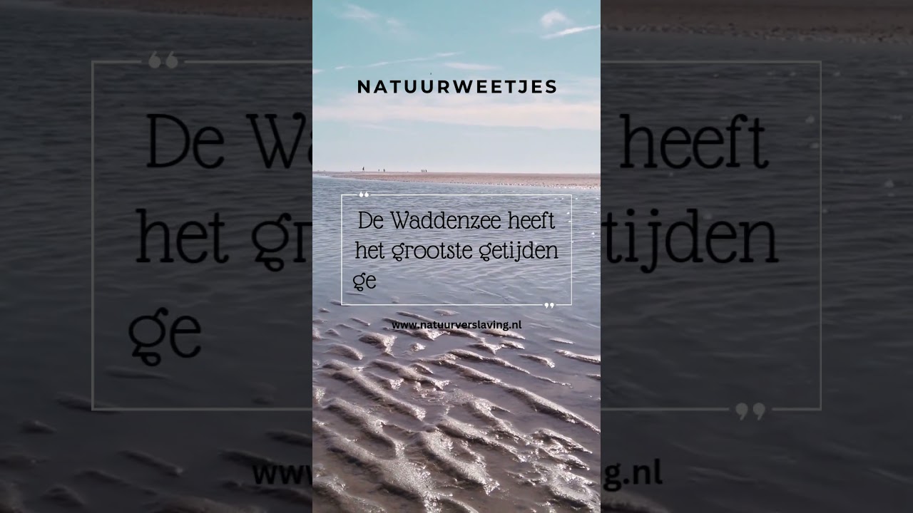 De unieke Waddenzee