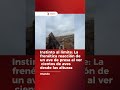 Un ave de presa reacciona de forma frenética al verse rodeada por cientos de aves desde un tejado.