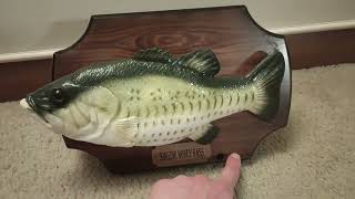 Singing Honey Bass #3