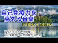 【自己免疫力を高める音楽】《528Hz＋444Hz》 抗ウイルス＋DNA修復 自己免疫力・自然治癒力活性化　風邪からガンまで効果あり