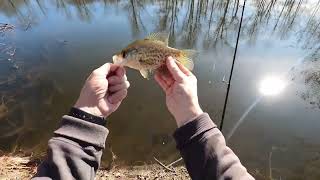 The Crappie Were Biting, It Sure Was Exciting!