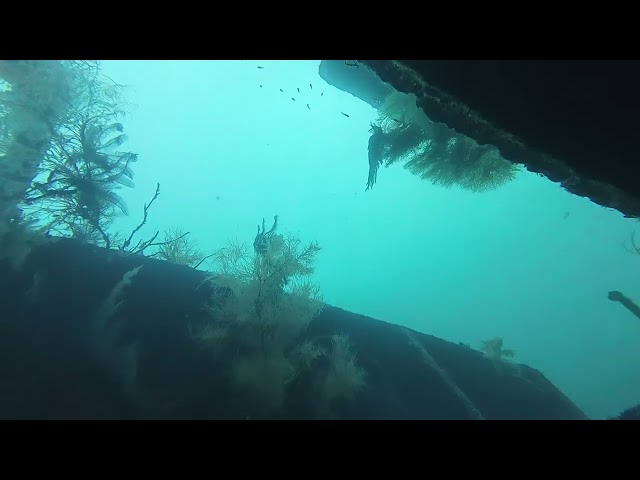 Inside a Shipwreck in Boracay, Philippines | If yo...