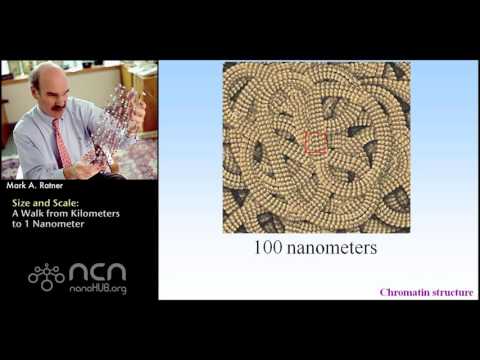 Video: Care dintre următoarele exemple sunt la scara nanometrică?