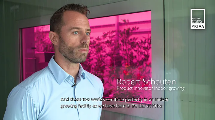 Why indoor growing and vertical farming are the fu...
