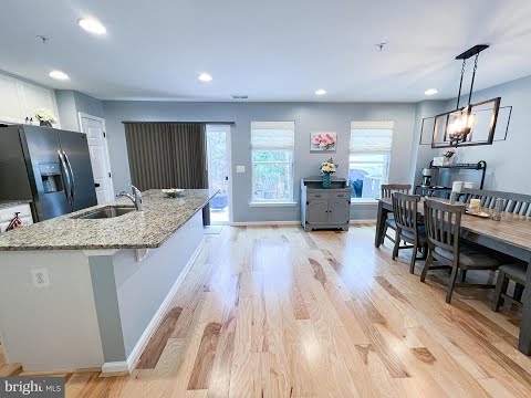 128 Intrepid Lane, Berlin, MD home video tour