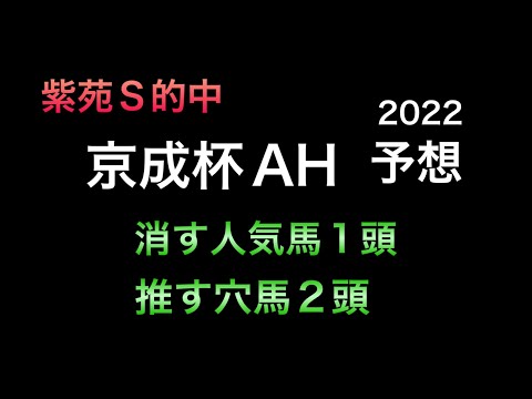 【競馬予想】京成杯オータムハンデ 2022 予想