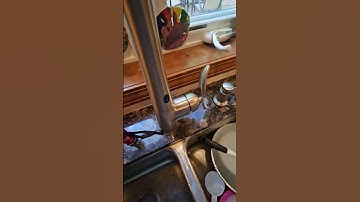 How To Tighten Loose Faucet Handle. Moen Faucet. #shorts