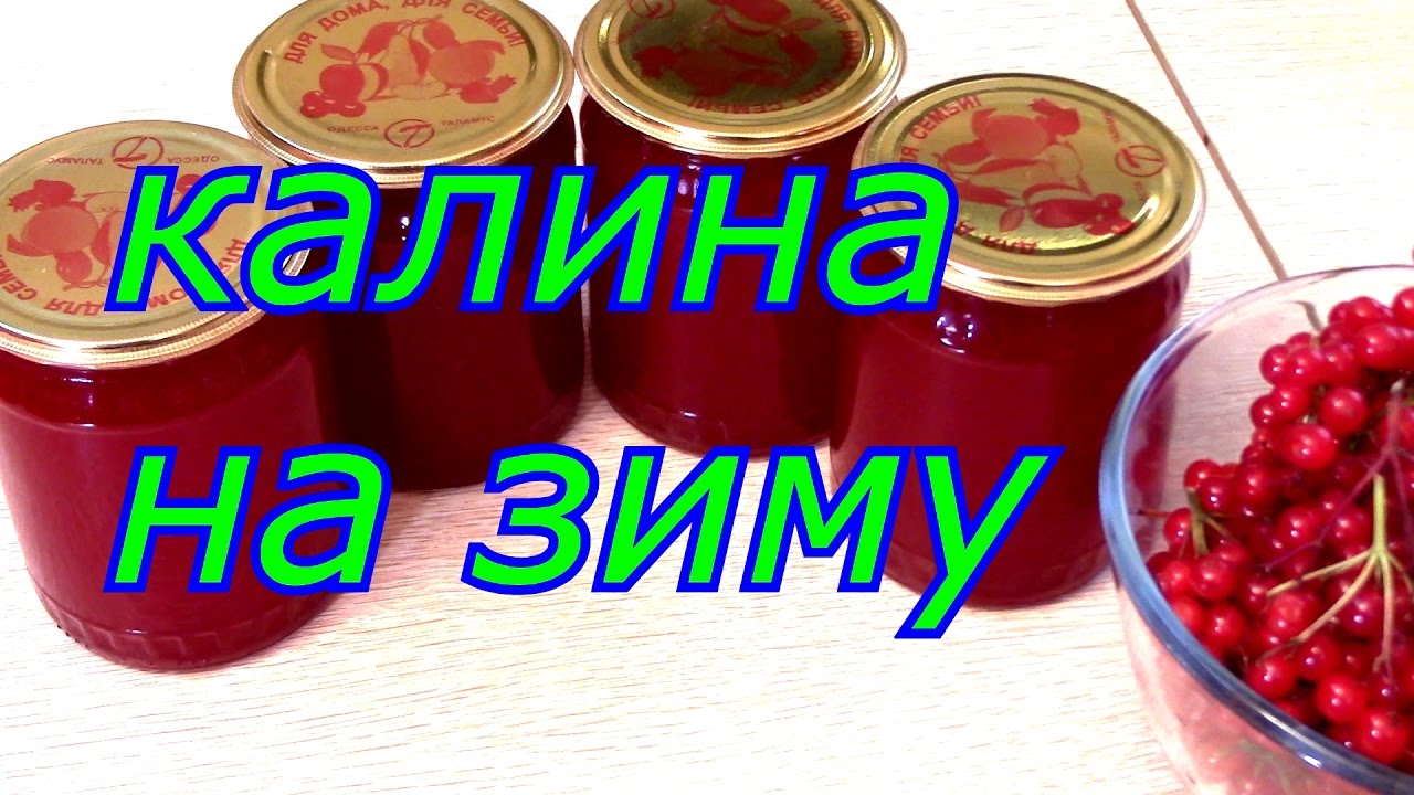 Как приготовить калину на зиму: 8 способов Как приготовить калину на зиму: 8 способов