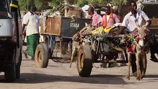 Responsible Tax And The Developing World