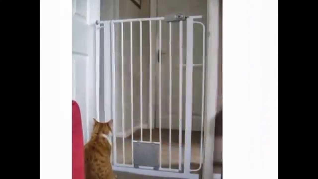 Hondenhek met kattenluik Bettacare Pet Gate plus Cat Flap 7584cm YouTube