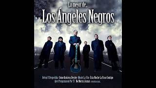 Los Ángeles Negros - Cómo Quisiera Decirte