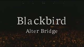 Blackbird - Alter Bridge [Official Video Lyrics] chords