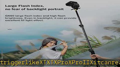 Godox TT600 2.4G Wireless Flash Speedlite Master/Slave Flash with Built-in Trigger System Compatibl