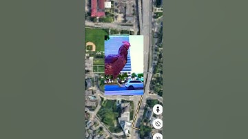 OMG! Giant Chicken Is Real! 🐔🤯 on google maps 🗺️#shorts #trending #map #datadefender4u