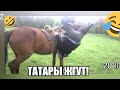 Татары жгут!#2 Подборка новых татарских приколов 2020