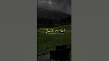 عبد الرحمن مسعد |وإذ قال إبراهيم رب أرني كيف تحي الموتى  #سورة_البقرة #تلاوات_قصيرة #قرآن