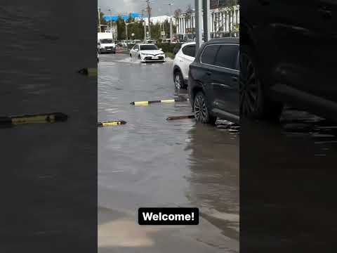 26 августа 2024 г.