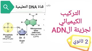 التركيب الكيميائي لل adn للسنة الثانية ثانوي