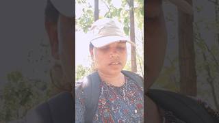 #shortsfeed #shortvideo#viral #forestlife #nature