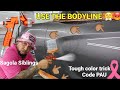 Tip for Extreme Bodyline usage for color blending guaranteed to work for Dodge and Chevrolet