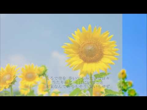 【歌詞付きフル】君がくれた夏 / 家入レオ〈cover by こんにゃく〉