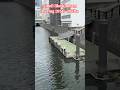 The Kanda River in Tokyo used to smell terrible 🤮#shorts