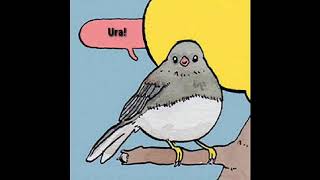 Birb Memecivil War Edition