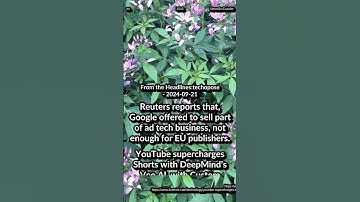 Google: sell ad tech. YouTube Veo AI Custom backgrounds. Tumblr: 350% user growth: X ban Brazil