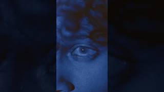 We Are Living In The Wired