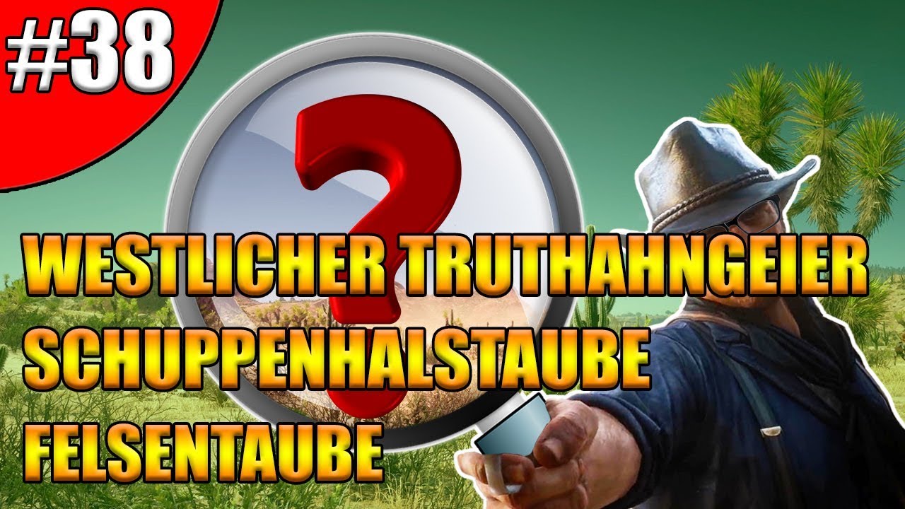 Westlicher Truthahngeier | Schuppenhalstaube | Felsentaube | RDR2 Zoologe - Unter die Haut - #38