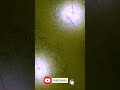 LED Lamp Under Microscope Vision