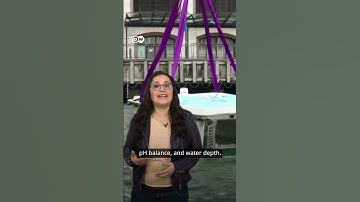 A robot shark to clean up the oceans