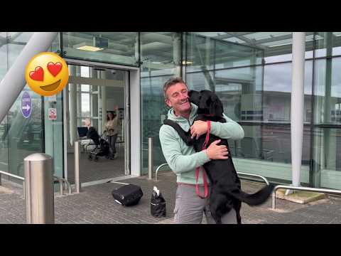 The Bond Between Pets and Their Humans Will Melt Your Heart