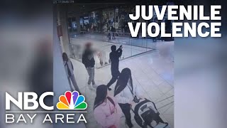 Valley Fair shooting fuels debate over California laws surrounding juvenile offenders