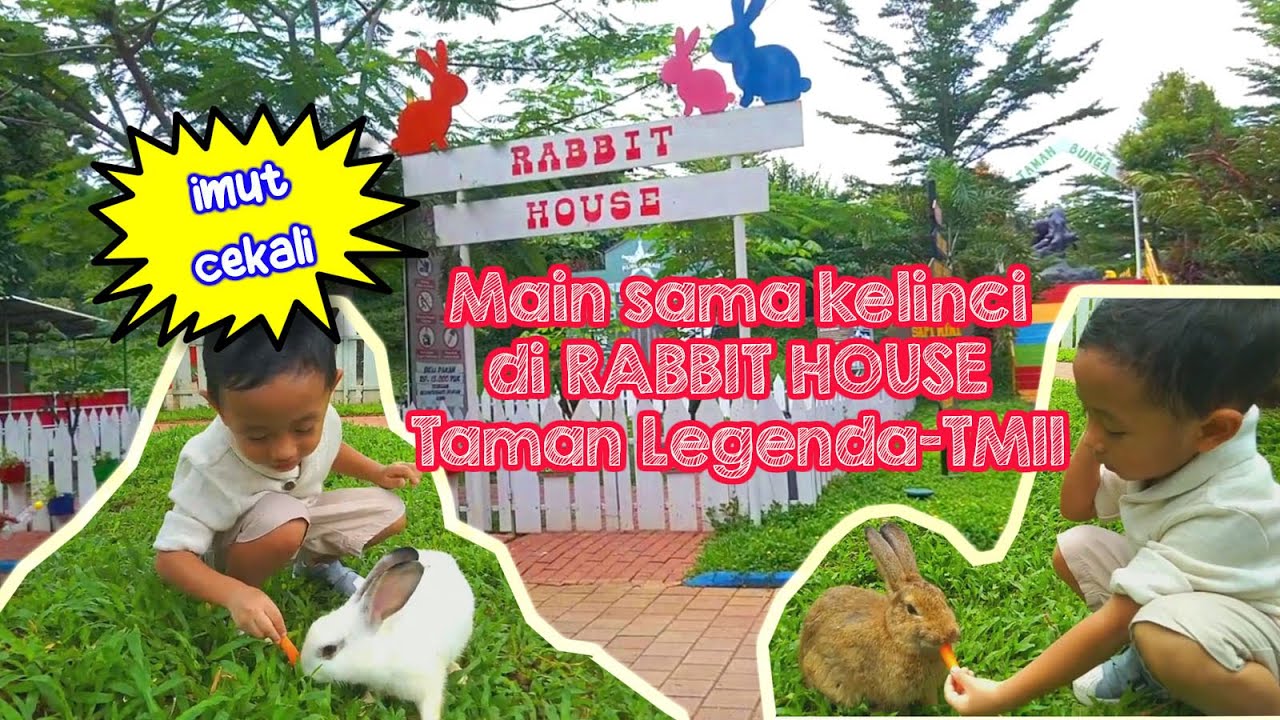MAIN SAMA KELINCI DI RABBIT HOUSE TAMAN LEGENDA - TMII - YouTube