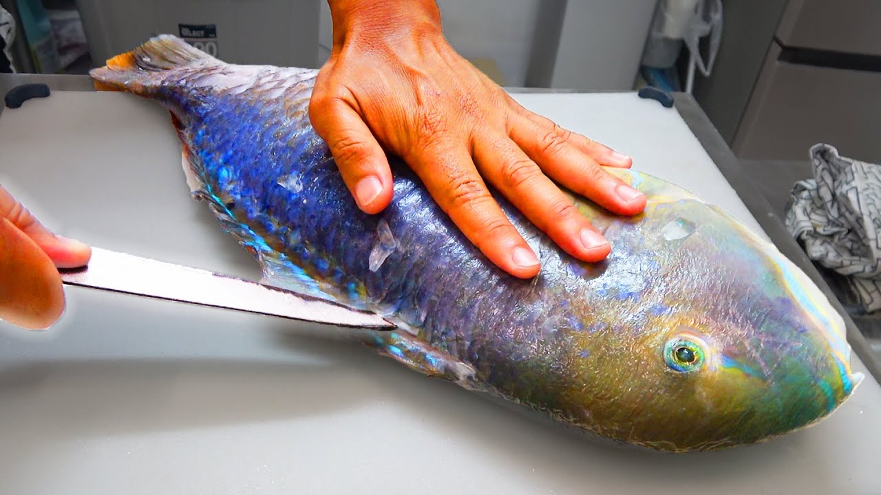 沖縄に生息する伝説の高級魚に包丁を入れてみた Youtube