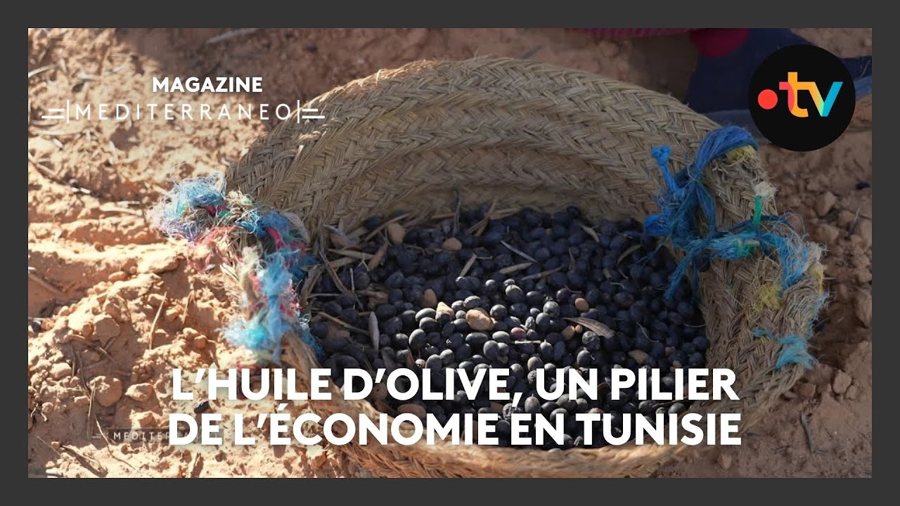 MEDITERRANEO – En Tunisie, l’huile d’olive est un pilier de l’économie.