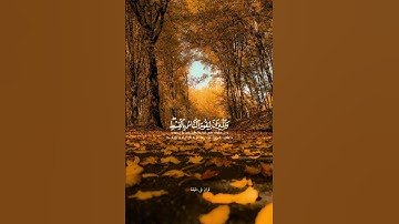 قران كريم ارح قلبك وسمعك #قران #quran @قران_في_دقيقه