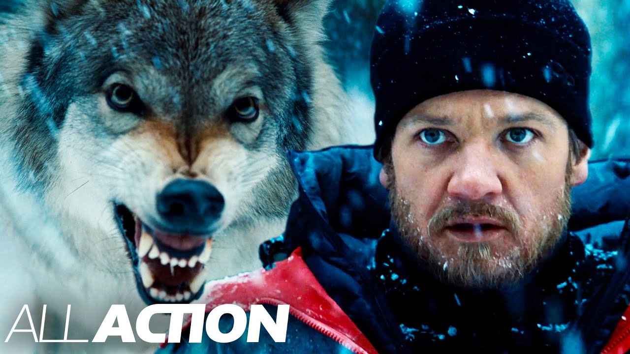 Jeremy Renner Vs. The Wolf | The Bourne Legacy | All Action - YouTube