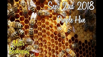 Sept 2nd 2018 - Queen Handling at it