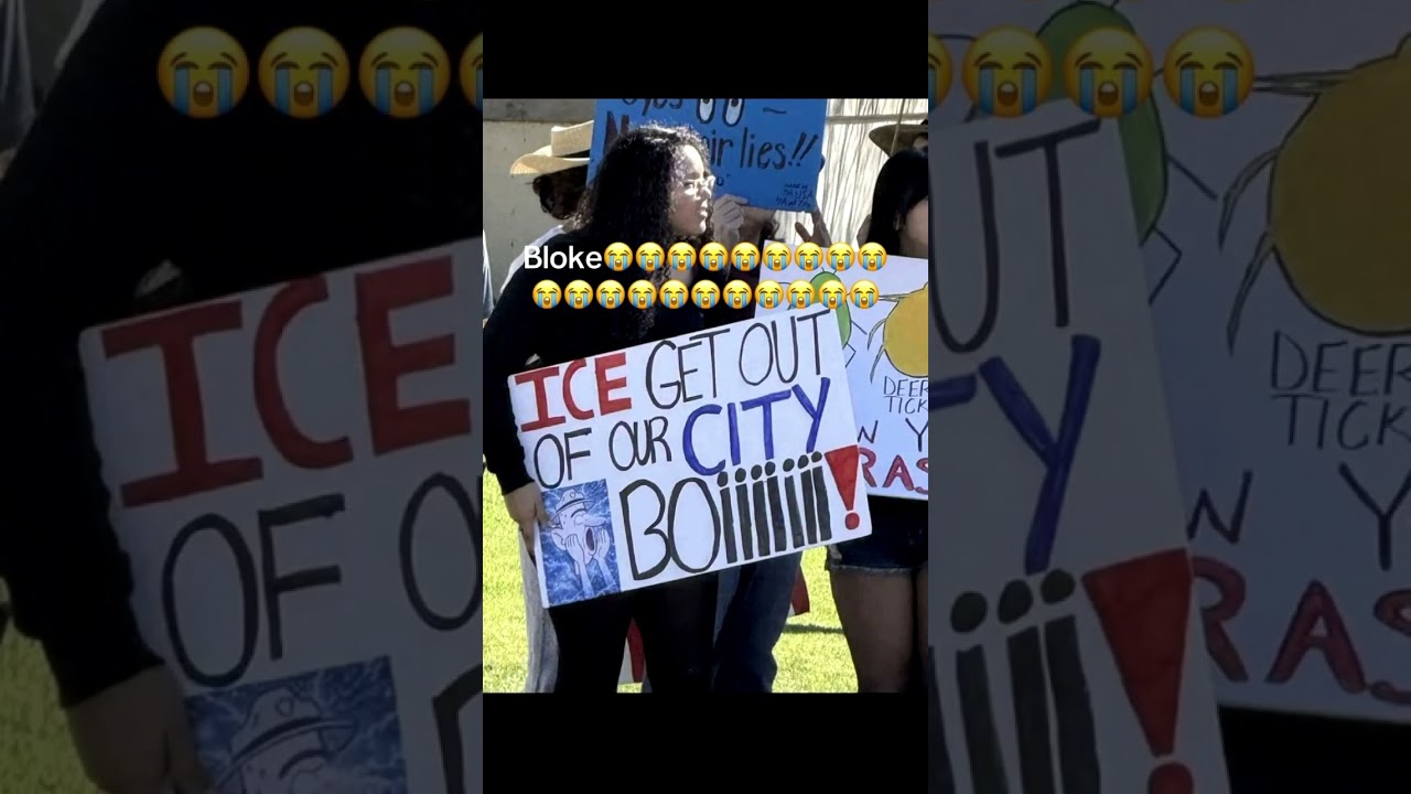 Memes from Discord V749