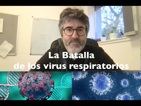 La batalla de los virus respiratorios ¿Como compiten Sincitial, Gripe y SarsCov2?