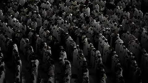 لا إله الا الله 😔🤍#ياسر_الدوسري #قرآن #تلاوة_خاشعة 