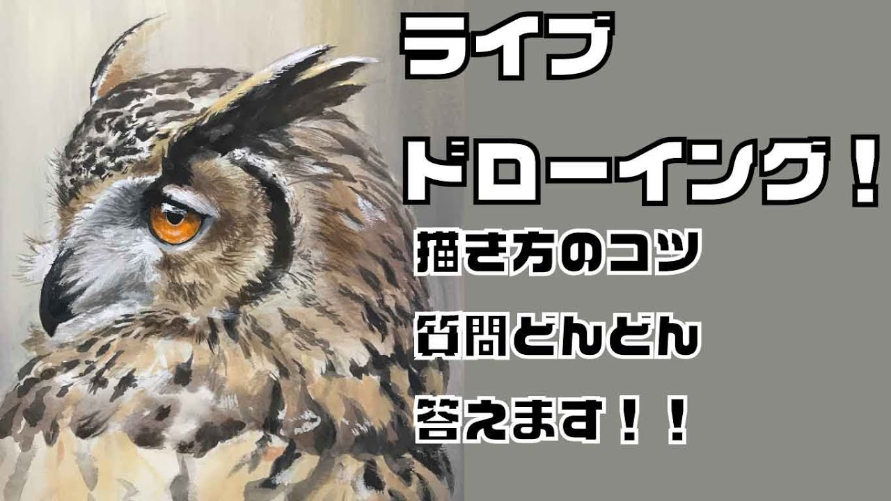 82【生配信】ミミズク アクリルガッシュ how to draw with pencil
