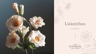 Lisianthus Sugar Flower Tutorial (Gumpaste / Flower Paste)