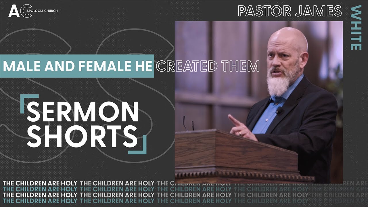 Apologia Lite: Male and Female He Created Them