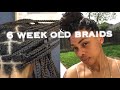 Taking Down My 6 Week Old Knotless Box Braids | Shaaanelle