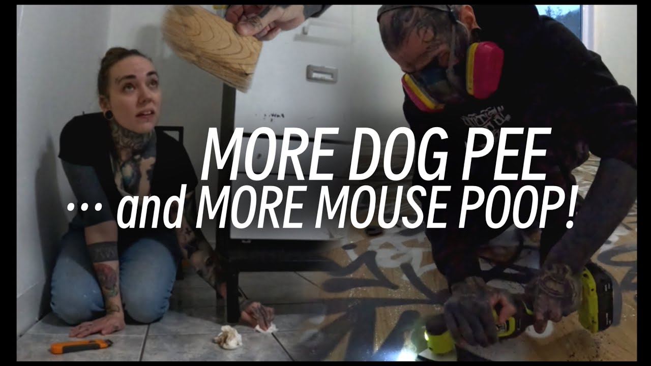 Ещё больше сюрпризов перед переездом - ПЕРВЫЙ ДОМ!