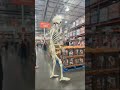 Costco halloween decorations are next level!#ai #viral #blowthisup #fyp #skeleton #halloween #costco